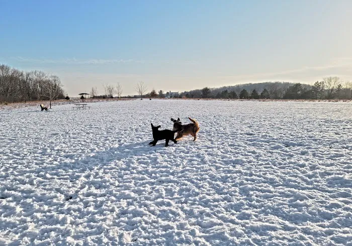 Jefferson County Dog Park 8