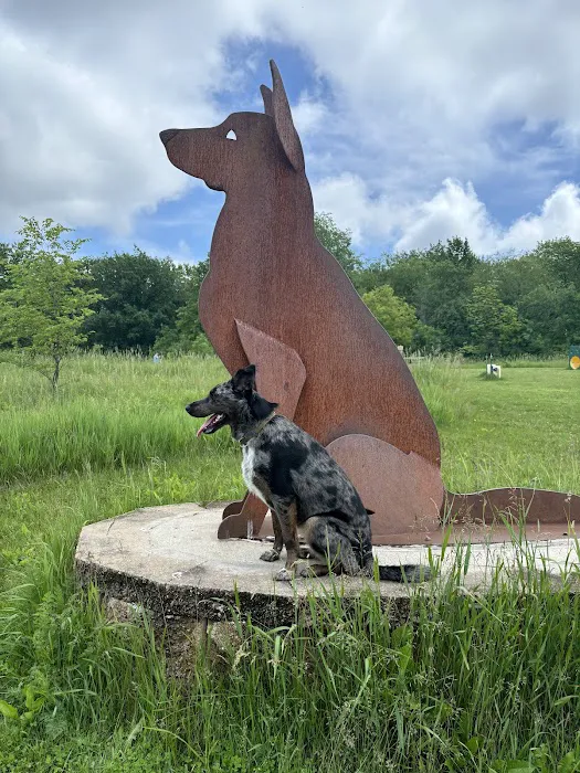Jefferson County Dog Park 10