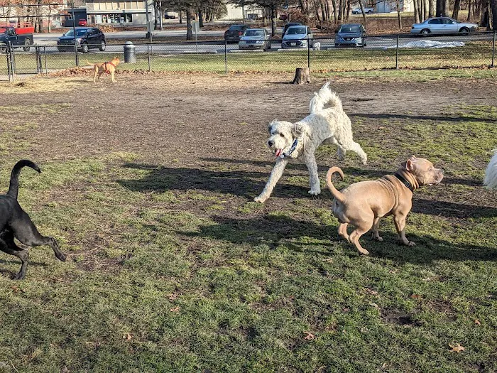 Woodland Dog Park 9