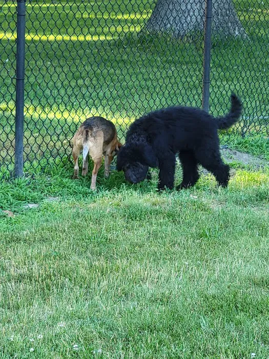 Woodland Dog Park 4