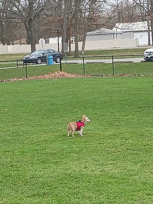 Woodland Dog Park 6
