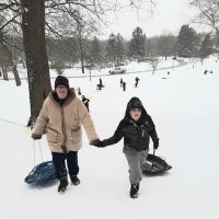 Woodland Dog Park ico