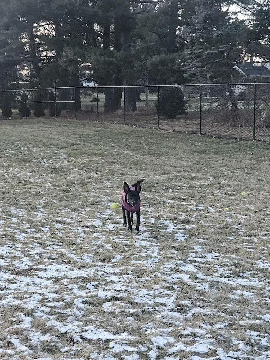 ValPAWraiso Dog Park 3