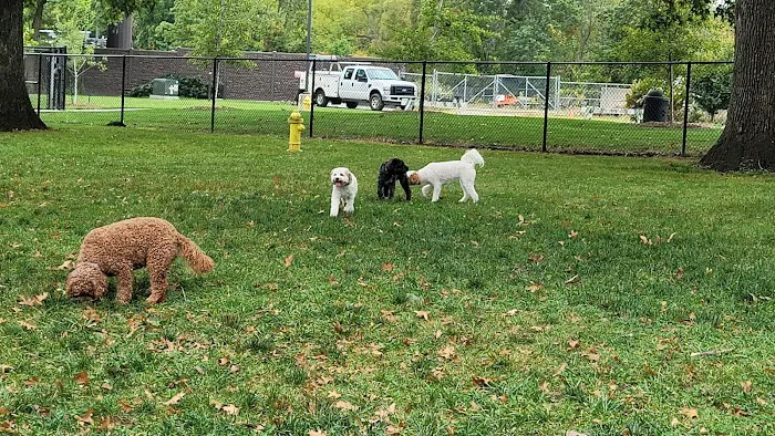 ValPAWraiso Dog Park 10