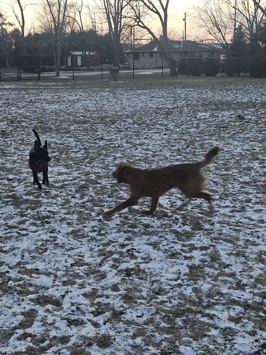 ValPAWraiso Dog Park 8