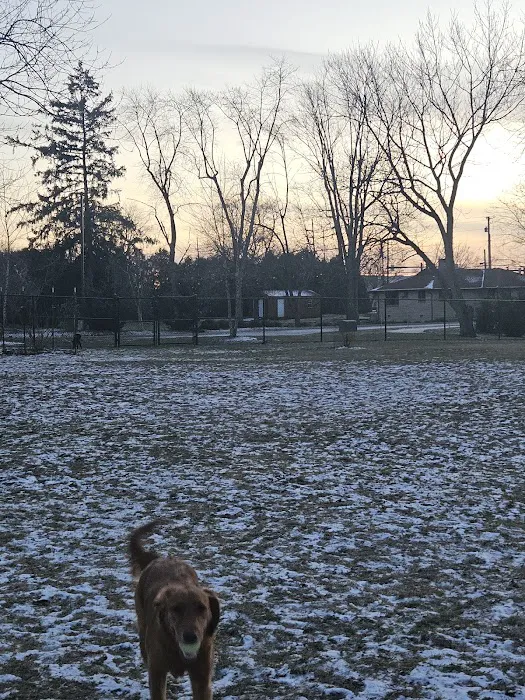 ValPAWraiso Dog Park 4