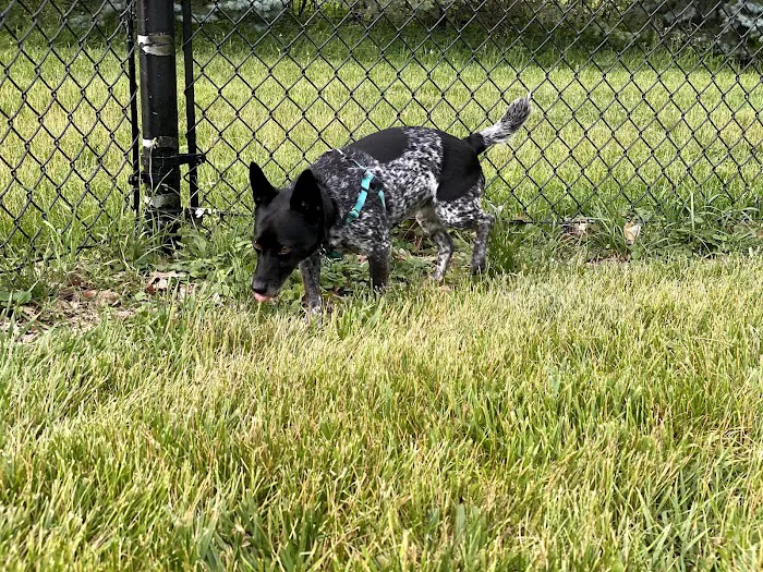 ValPAWraiso Dog Park 9