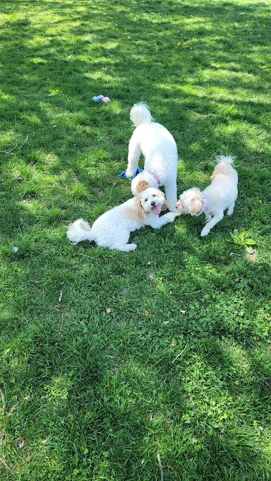 ValPAWraiso Dog Park 7
