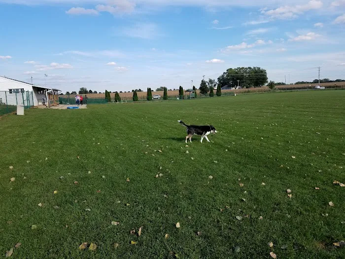 Royal Acres Country Club 2