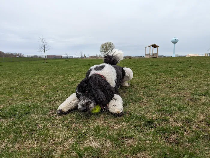 Pepi's Playground 8