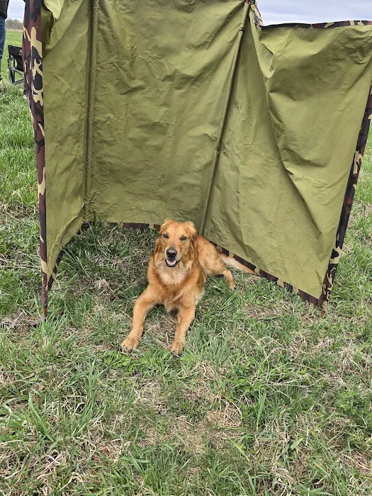 Wisconsin Amateur Field Trial Club 2