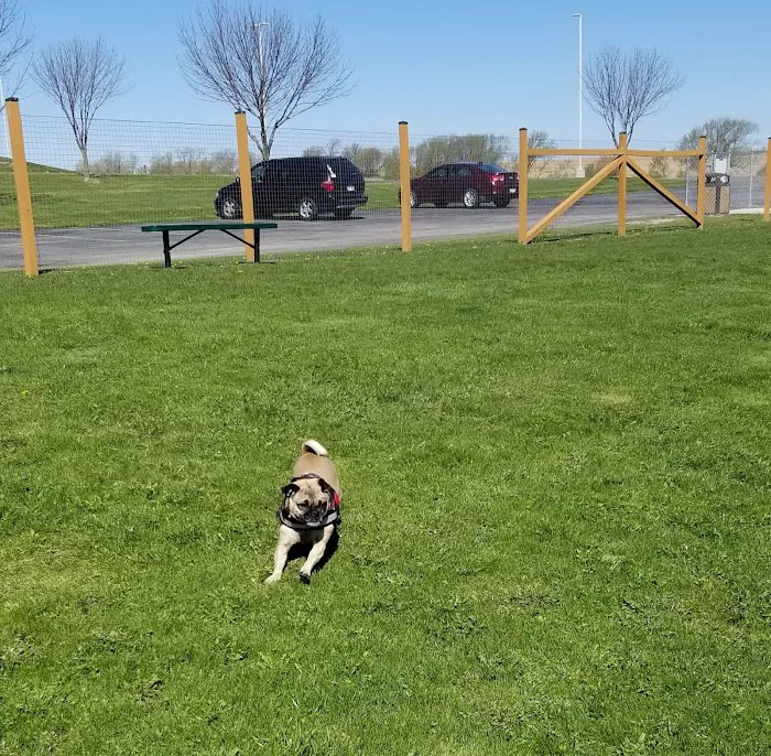 Wag-n-Tag Dog park 8