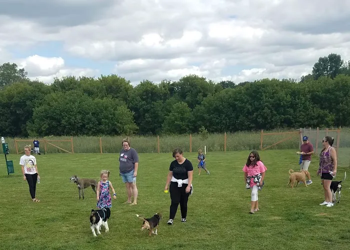 Wag-n-Tag Dog park 1