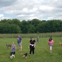 Wag-n-Tag Dog park ico