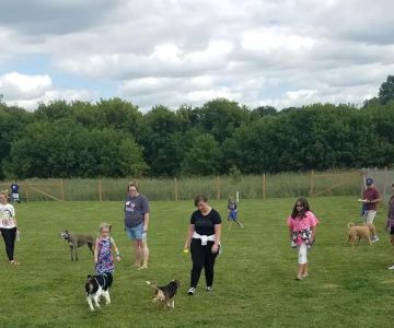 Wag-n-Tag Dog park
