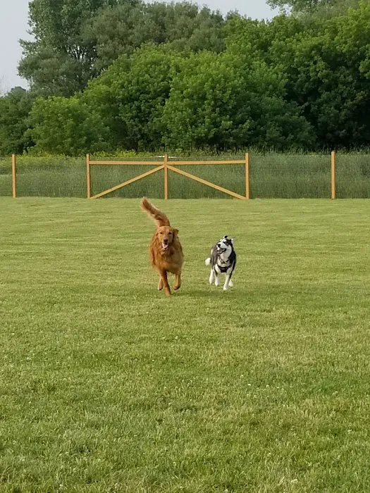 Wag-n-Tag Dog park 2