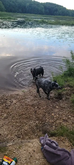Dog Training Area 3