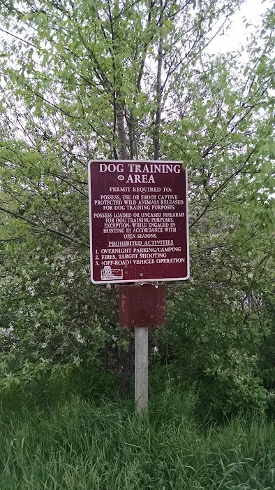 Dog Training Area 5