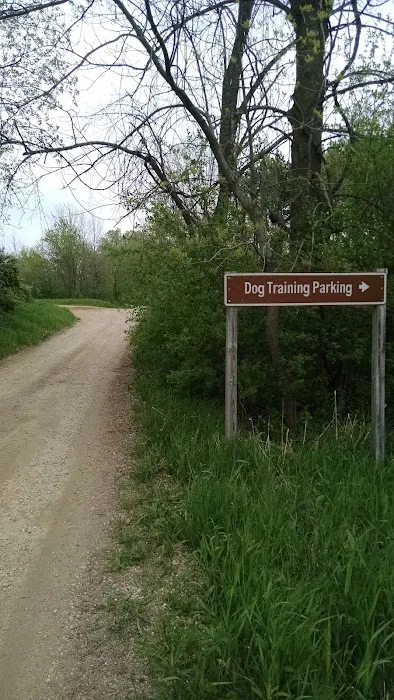 Dog Training Area 10