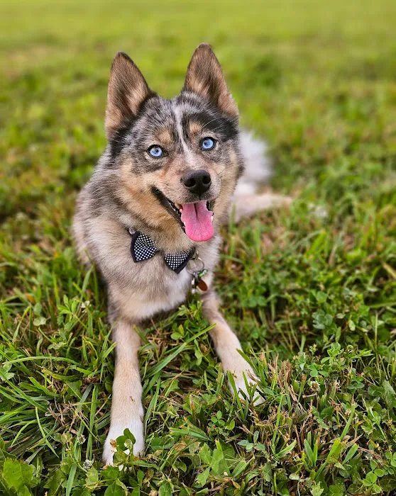 Devine Dog Park 5