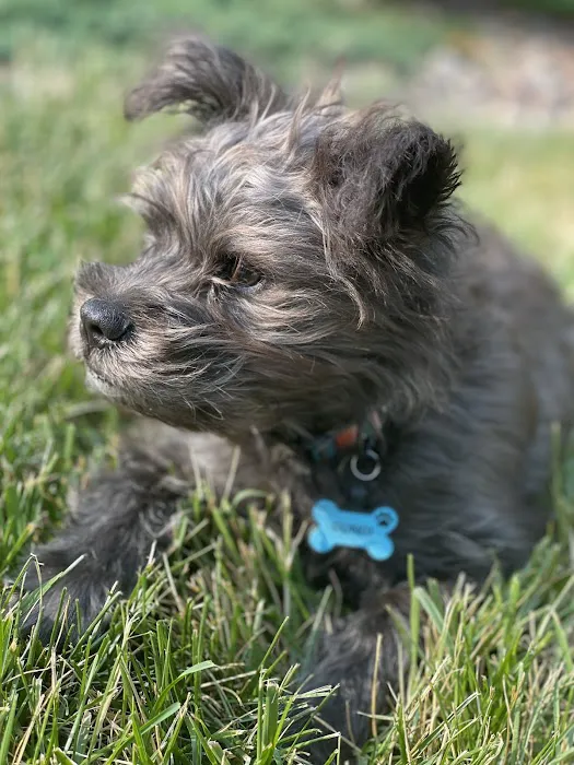 Devine Dog Park 7
