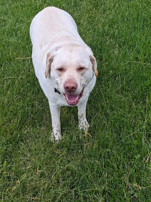 Jon Blanchard Dog Park 10