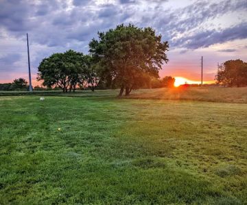 Jon Blanchard Dog Park