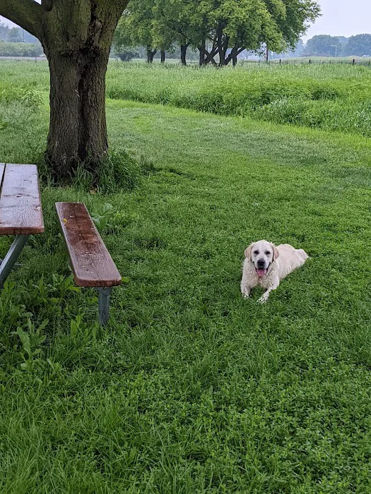 Jon Blanchard Dog Park 7