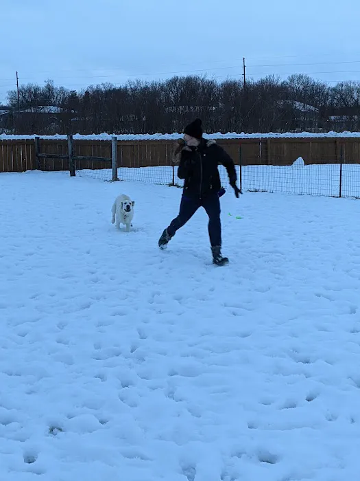 Jon Blanchard Dog Park 4