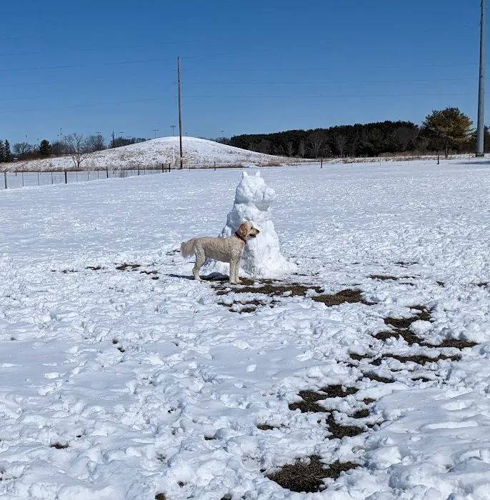 Jon Blanchard Dog Park 2