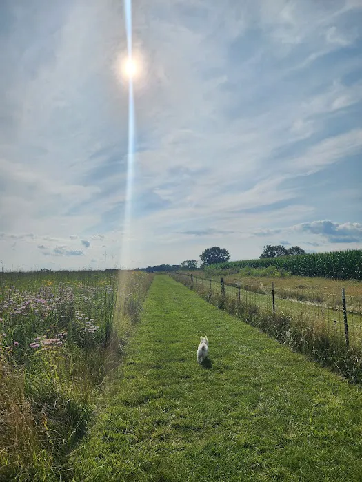Anderson Farm County Dog Park 4