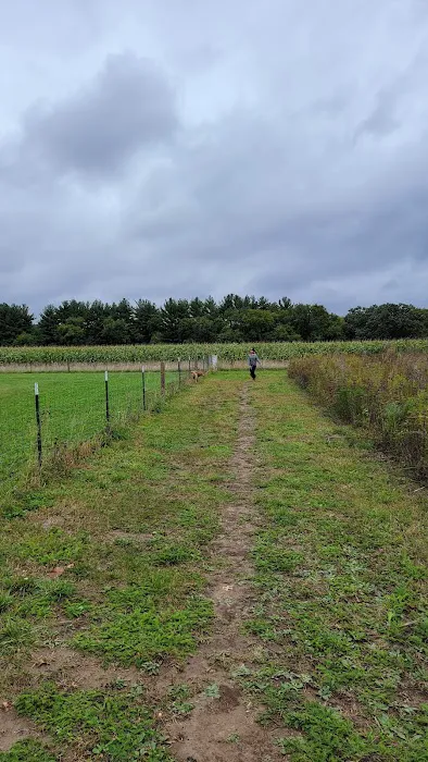 Anderson Farm County Dog Park 3