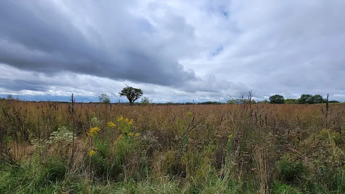 Anderson Farm County Dog Park 2