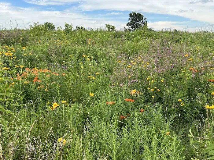 Capital Springs Dog Park 5
