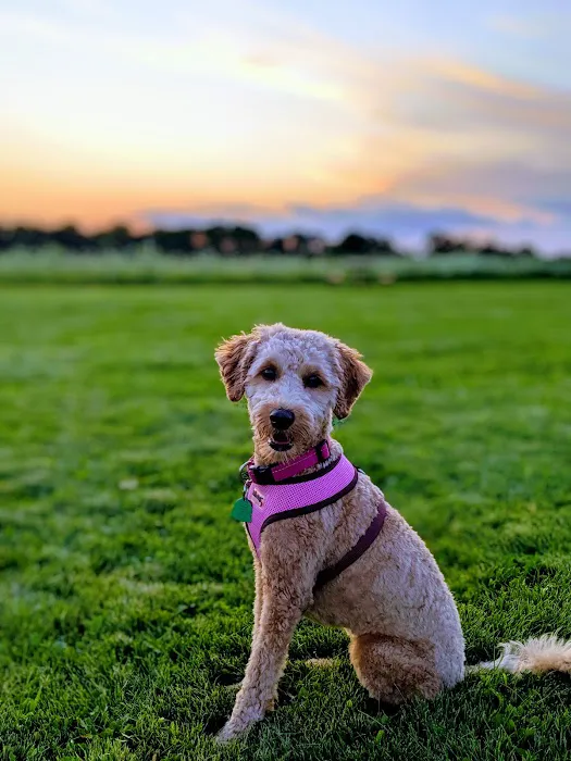 Capital Springs Dog Park 2