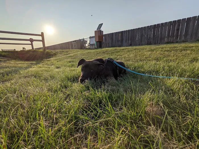 Capital Springs Dog Park 8