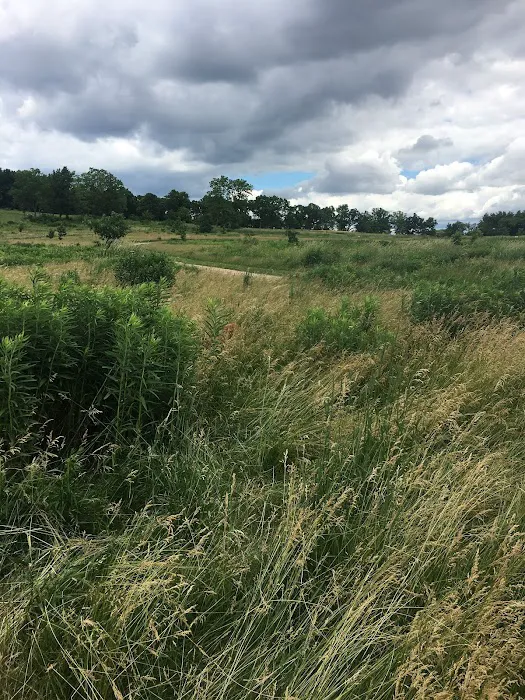 Capital Springs Dog Park 7