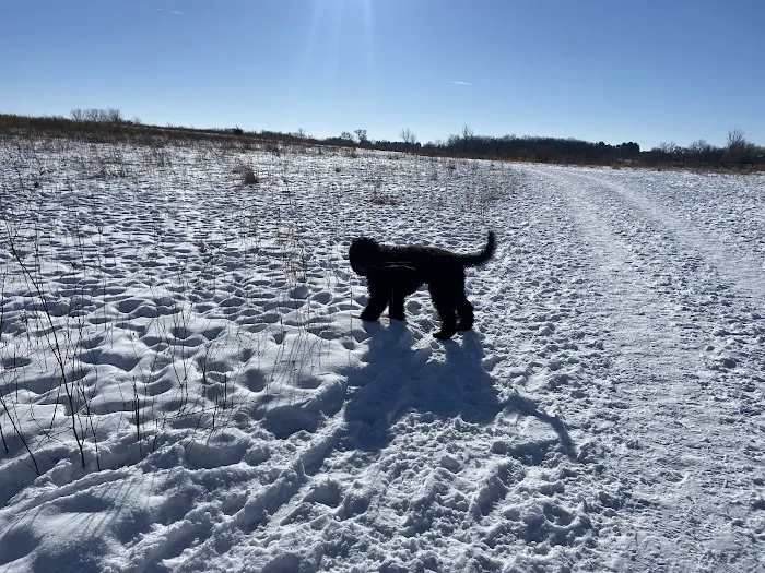 Capital Springs Dog Park 6