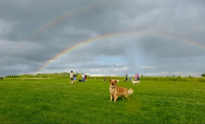 Capital Springs Dog Park 1
