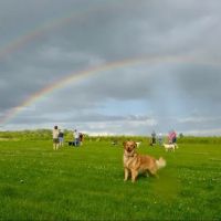 Capital Springs Dog Park ico