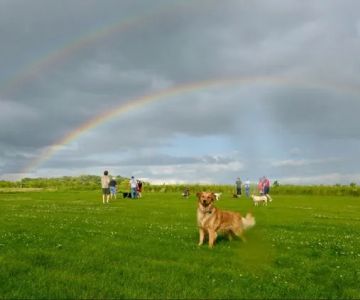 Capital Springs Dog Park