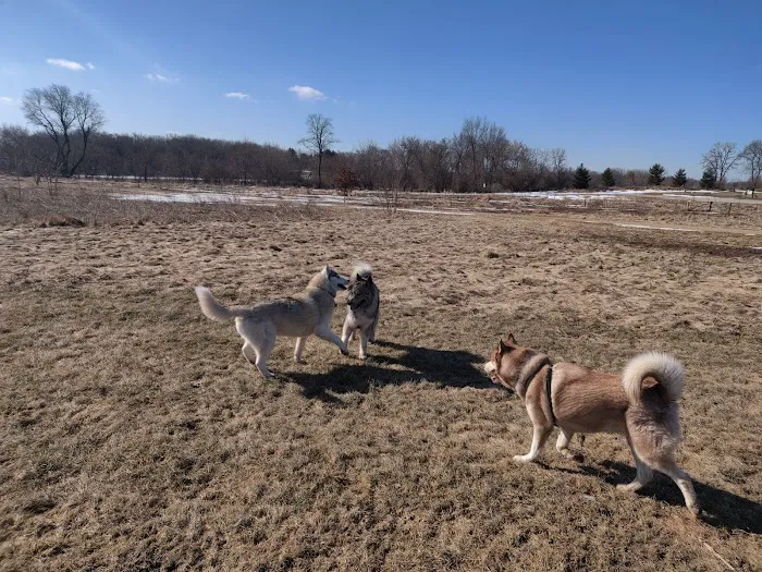 Capital Springs Dog Park 9