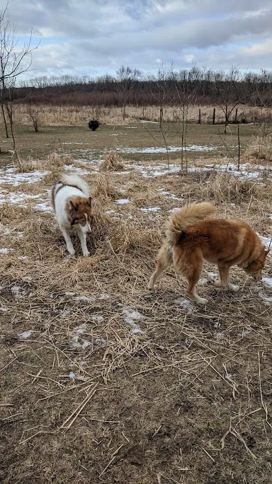 My Dog and Me 10