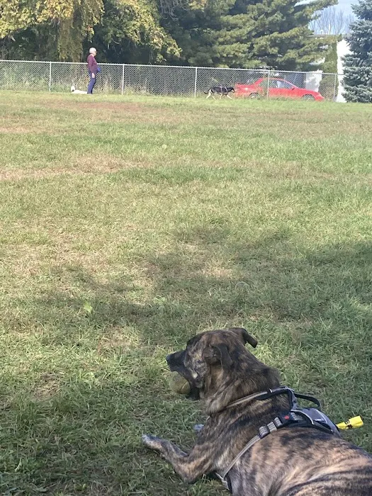 Monona Dog Park 1