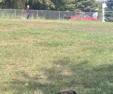Monona Dog Park