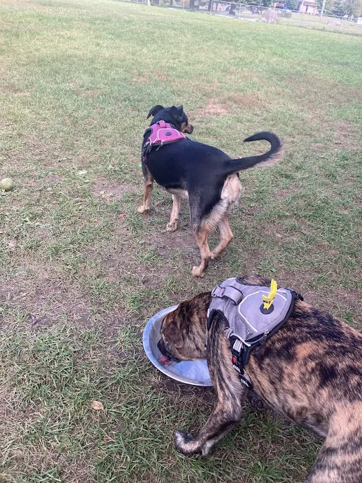 Monona Dog Park 3