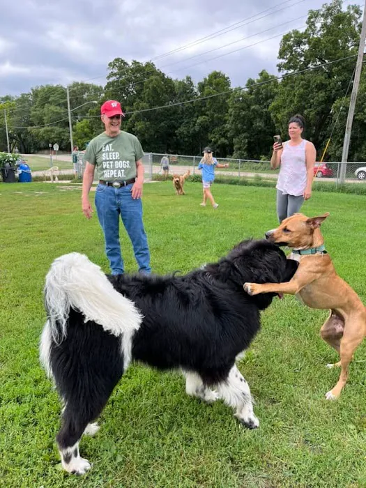 Monona Dog Park 7
