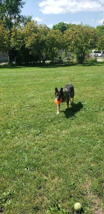 Monona Dog Park 8