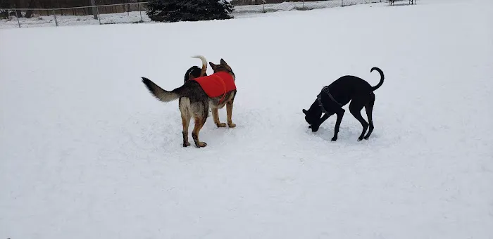 Monona Dog Park 5