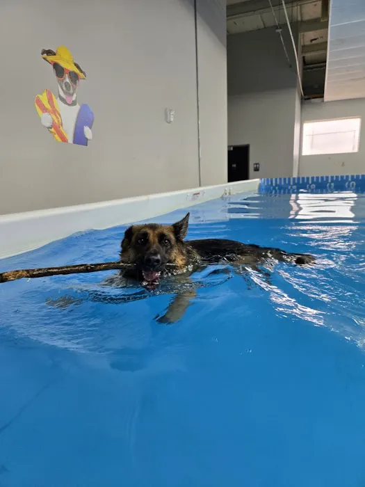 Doggieland Play Park Aquatics 7